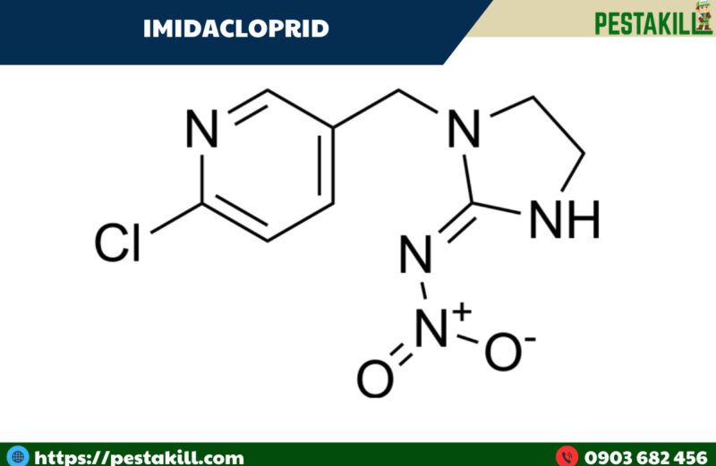 Imidacloprid