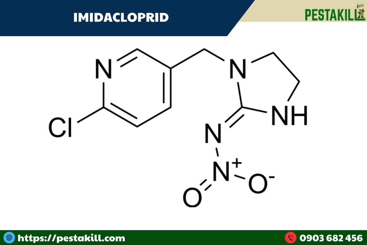 Imidacloprid