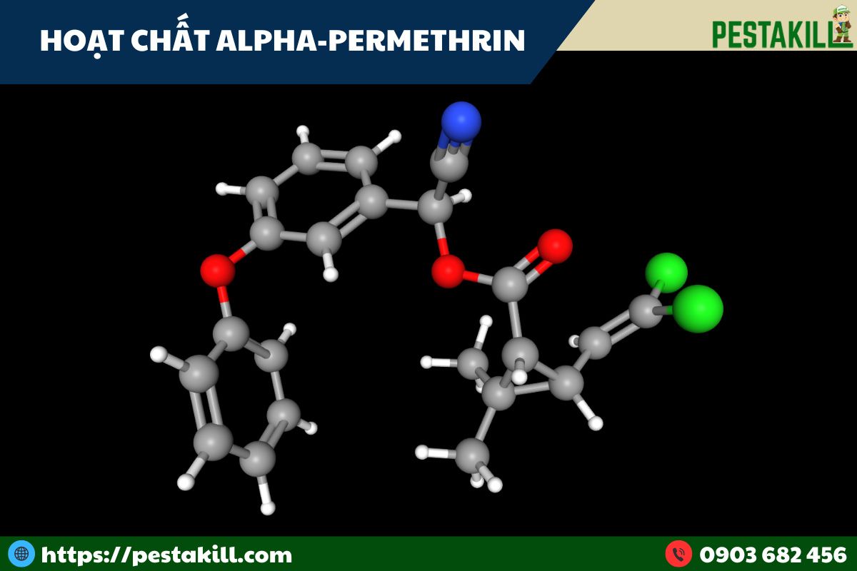 Hoạt chất Alpha-Cypermethrin