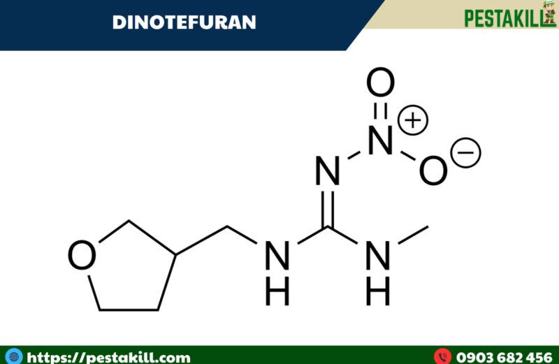 Dinotefuran