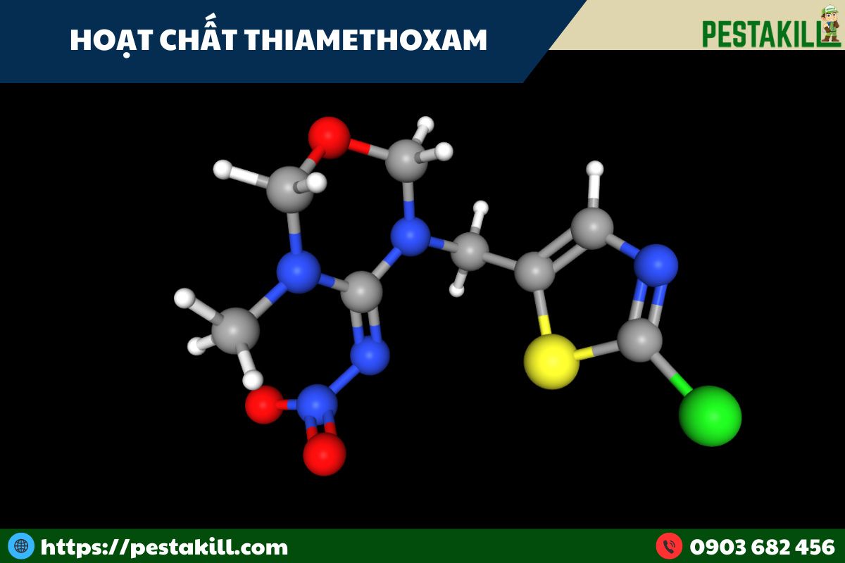 hoạt chất thiamethoxam