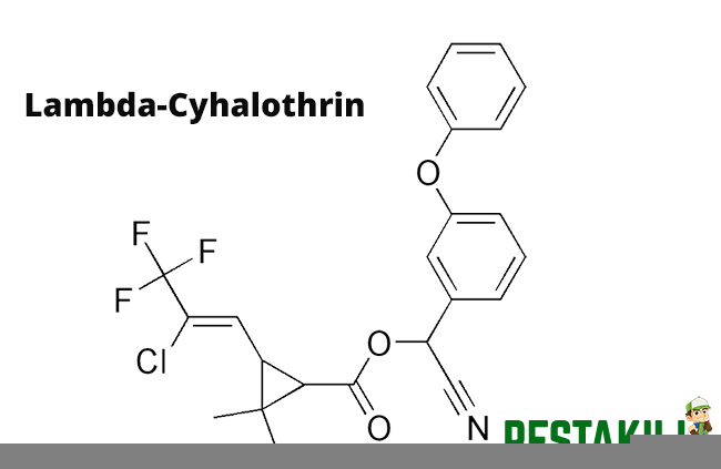 Lambda cyhalothrin 1