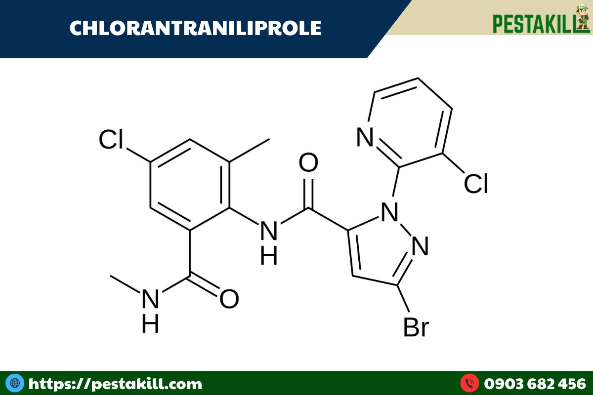 Chlorantraniliprole