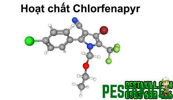 Hoạt chất Chlorfenapyr
