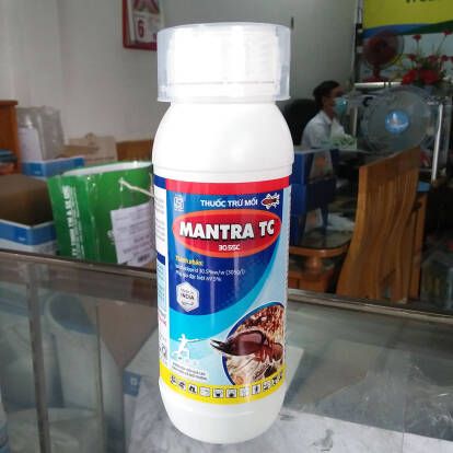 Thuốc trừ mối Mantra TC 30.5SC