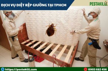 dịch vụ diệt rệp giường tại tphcm