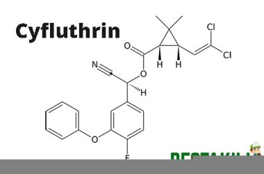 Cyfluthrin