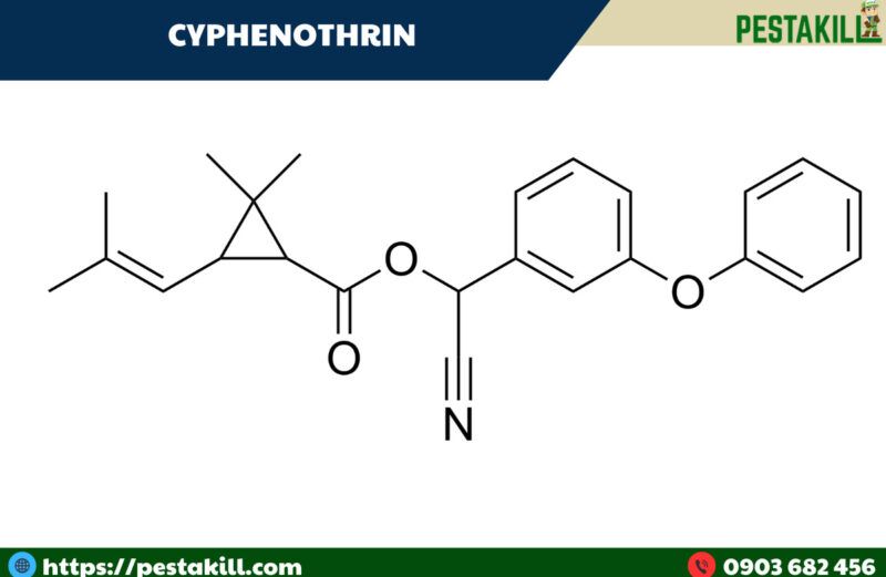 cyphenothrin