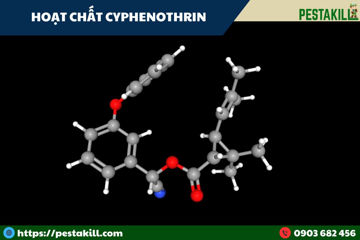 hoạt chất cyphenothrin