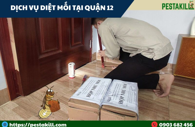 dịch vụ diệt mối tại quận 12