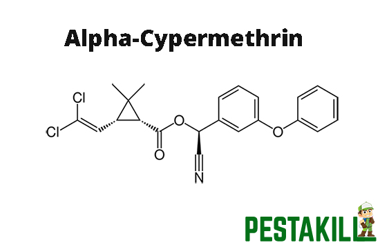 Alpha cypermethrin
