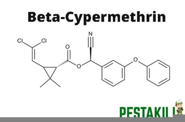Beta-Cypermethrin