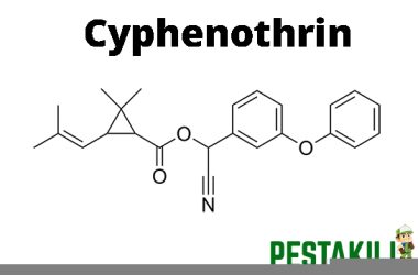 Cyphenothrin