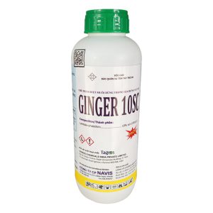 Ginger 10SC