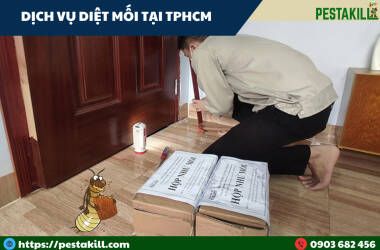 dịch vụ diệt mối tại tphcm