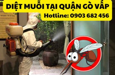dịch vụ diệt muỗi tại gò vấp