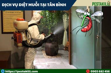 dịch vụ diệt muỗi tại tân bình