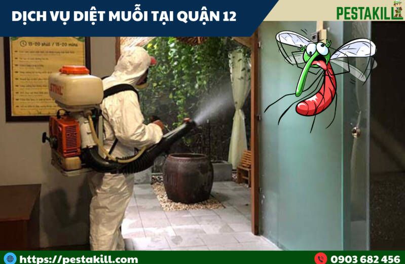 dịch vụ diệt muỗi tại quận 12