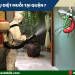 dịch vụ diệt muỗi tại quận 7