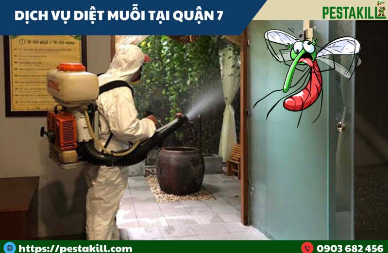 dịch vụ diệt muỗi tại quận 7