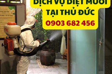 Dịch vụ phun thuốc diệt muỗi tại Thủ Đức