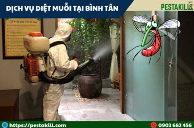 dịch vụ diệt muỗi tại quận bình tân