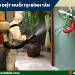 dịch vụ diệt muỗi tại quận bình tân