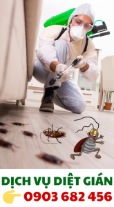 dịch vụ diệt gián