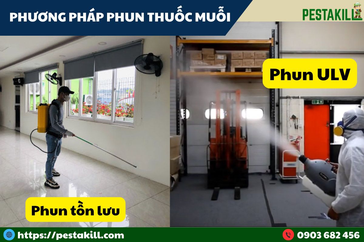 phương pháp phun thuốc diệt muỗi