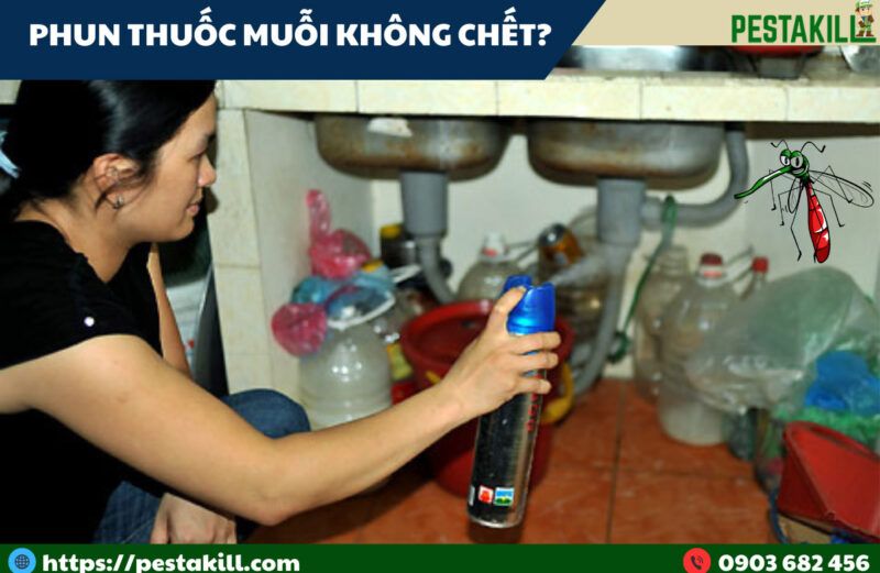 phun thuốc diệt muỗi không hiệu quả