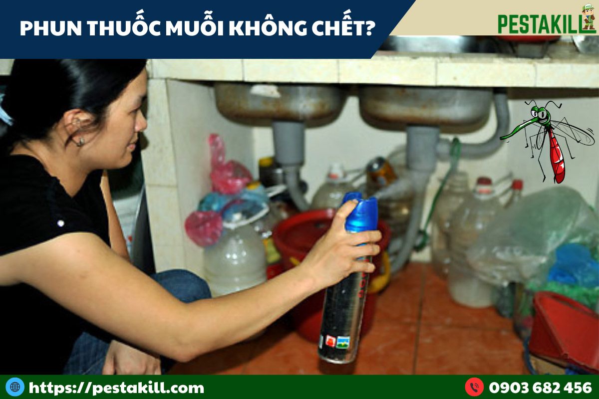 phun thuốc diệt muỗi không hiệu quả