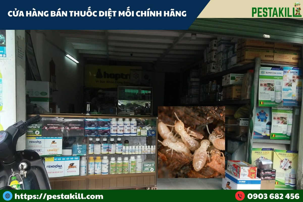 Công ty bán thuốc diệt mối chính hãng