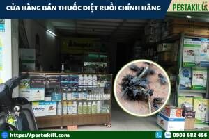 cửa hàng bán thuốc diệt ruồi chính hãng