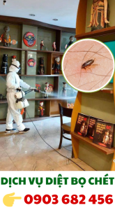 dịch vụ diệt bọ chét