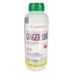 thuốc diệt muỗi Ginger 10SC