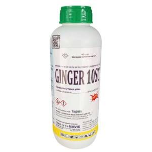thuốc diệt muỗi Ginger 10SC
