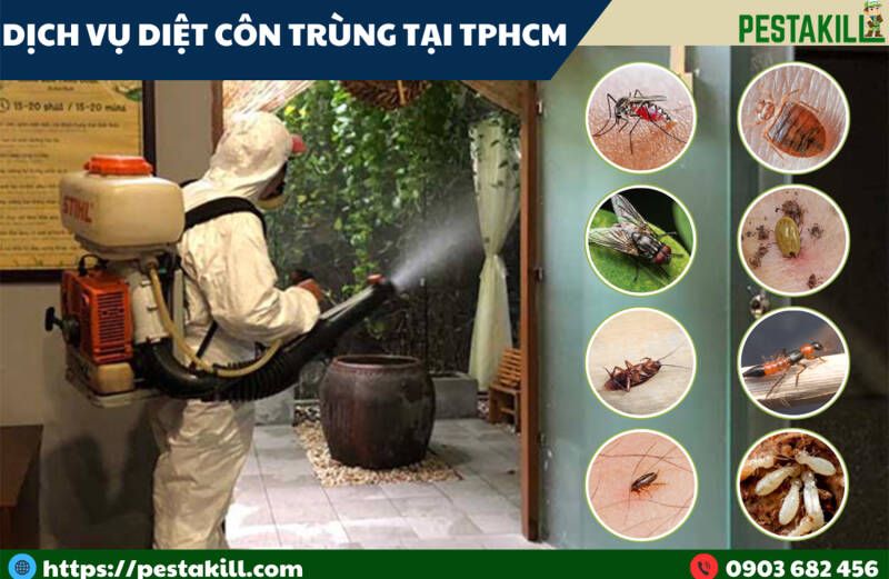 dịch vụ diệt côn trùng tphcm