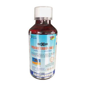 Thuốc diệt muỗi Boxer Permethrin 50ec