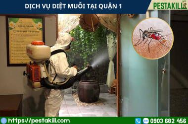 Diệt muỗi tại quận 1