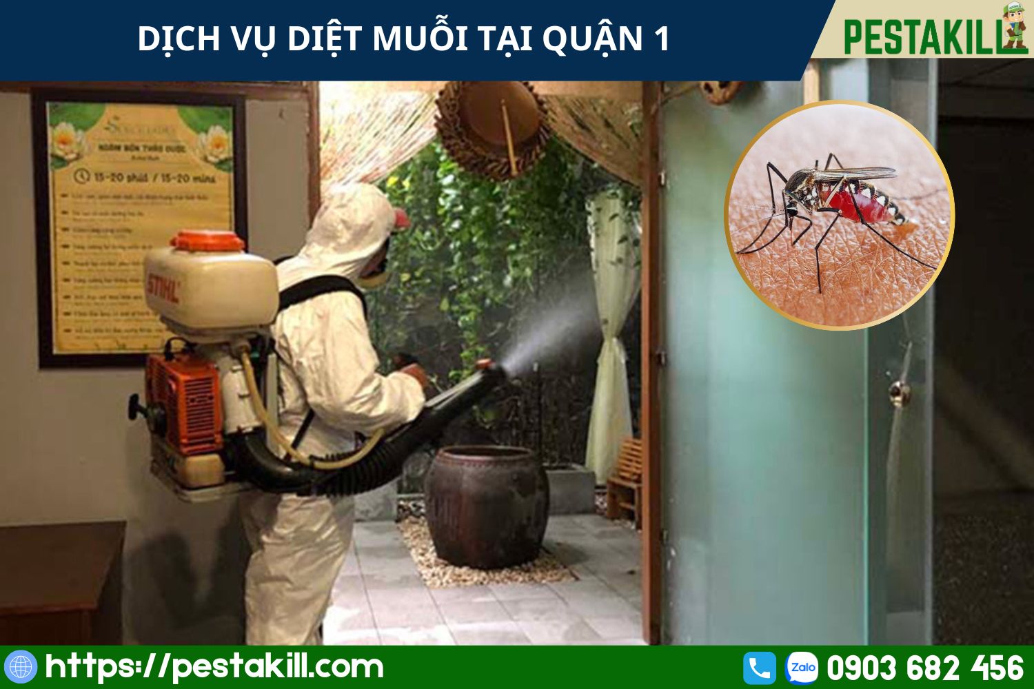 diet muoi quan 1 Diệt muỗi tại quận 1