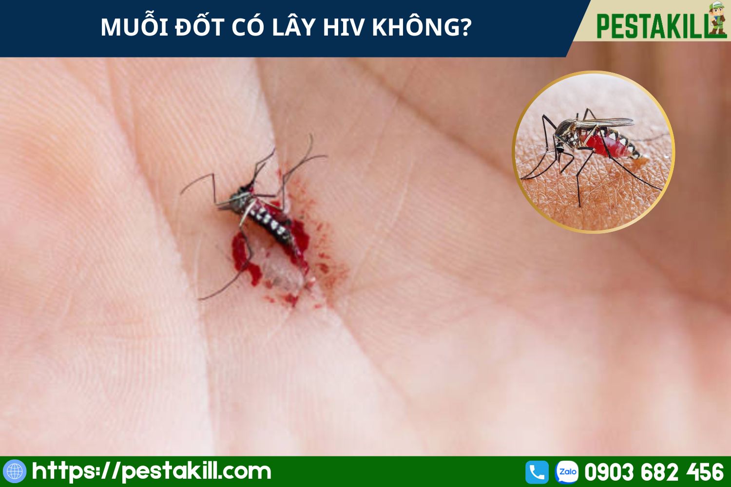 muoi dot co lay hiv khong muỗi chích có lây hiv không
