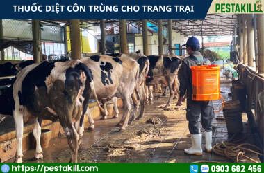 thuốc diệt côn trùng cho trang trại