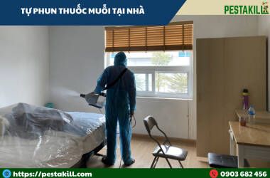 tự phun thuốc diệt muỗi tại nhà