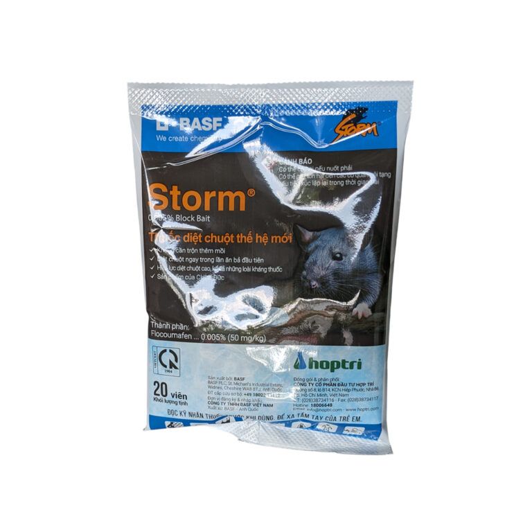 Storm