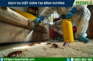 dịch vụ diệt gián tại bình dương
