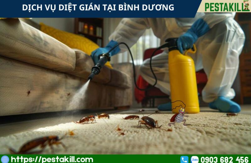 dịch vụ diệt gián tại bình dương