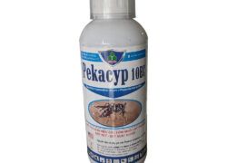 Pekacyp 10EC