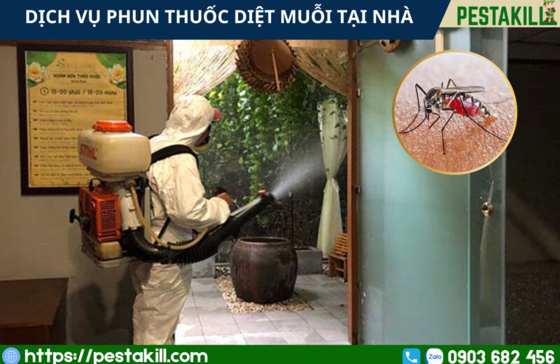 dịch vụ phun thuốc diệt muỗi tại nhà