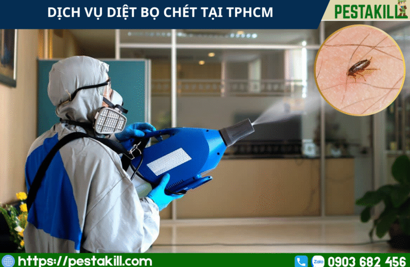 dịch vụ diệt bọ chét