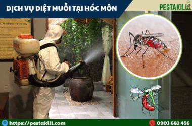 diệt muỗi tại hóc môn
